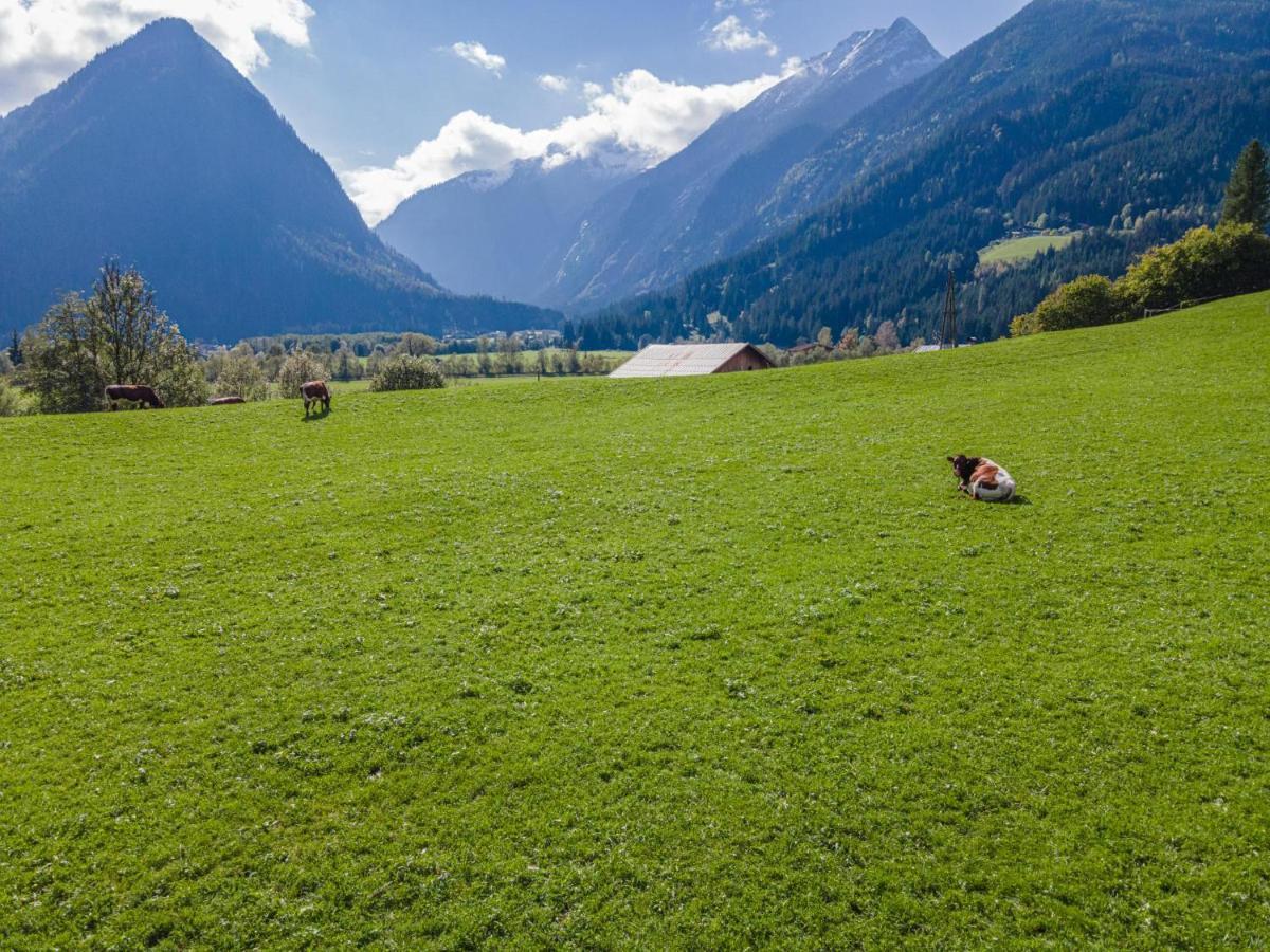 Landhaus Hotter 26 Neukirchen am Großvenediger Dış mekan fotoğraf